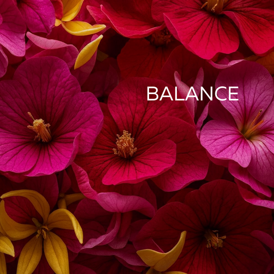 Balance Wellbeing Wax Melts 120g