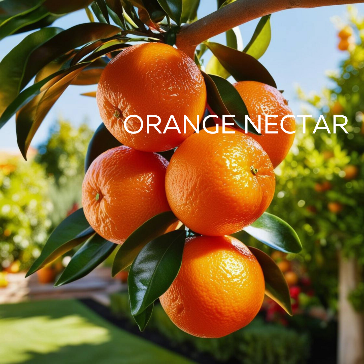Orange Nectar Wax Melts 120g