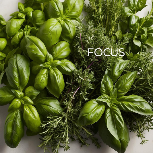 Focus Wellbeing Wax Melts 120g