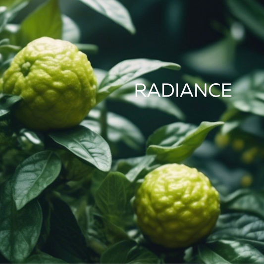Radiance Wellbeing Wax Melts 240g