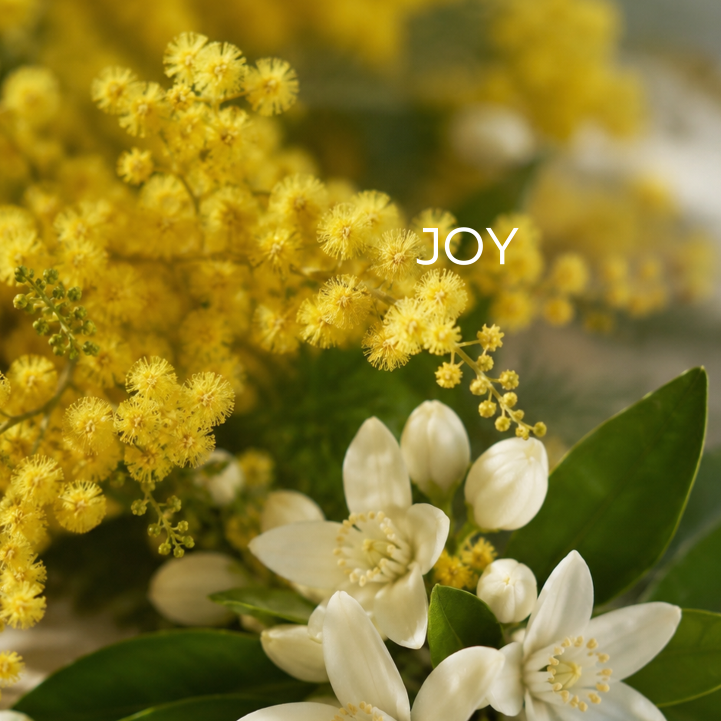 Joy Wellbeing Wax Melts 120g