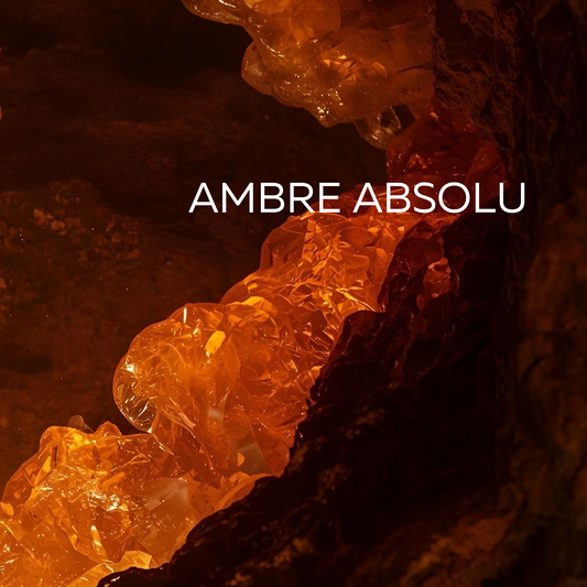 Ambre Absolu Wax Melts 120g