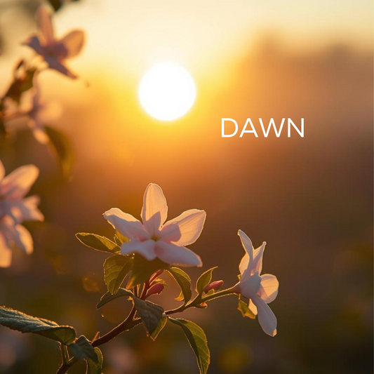 Dawn Wax Melts 120g