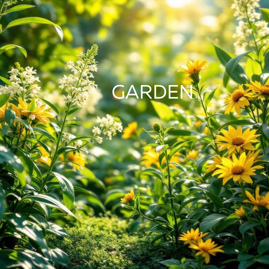 *REFILL ONLY* Garden Citronella Candle 450g