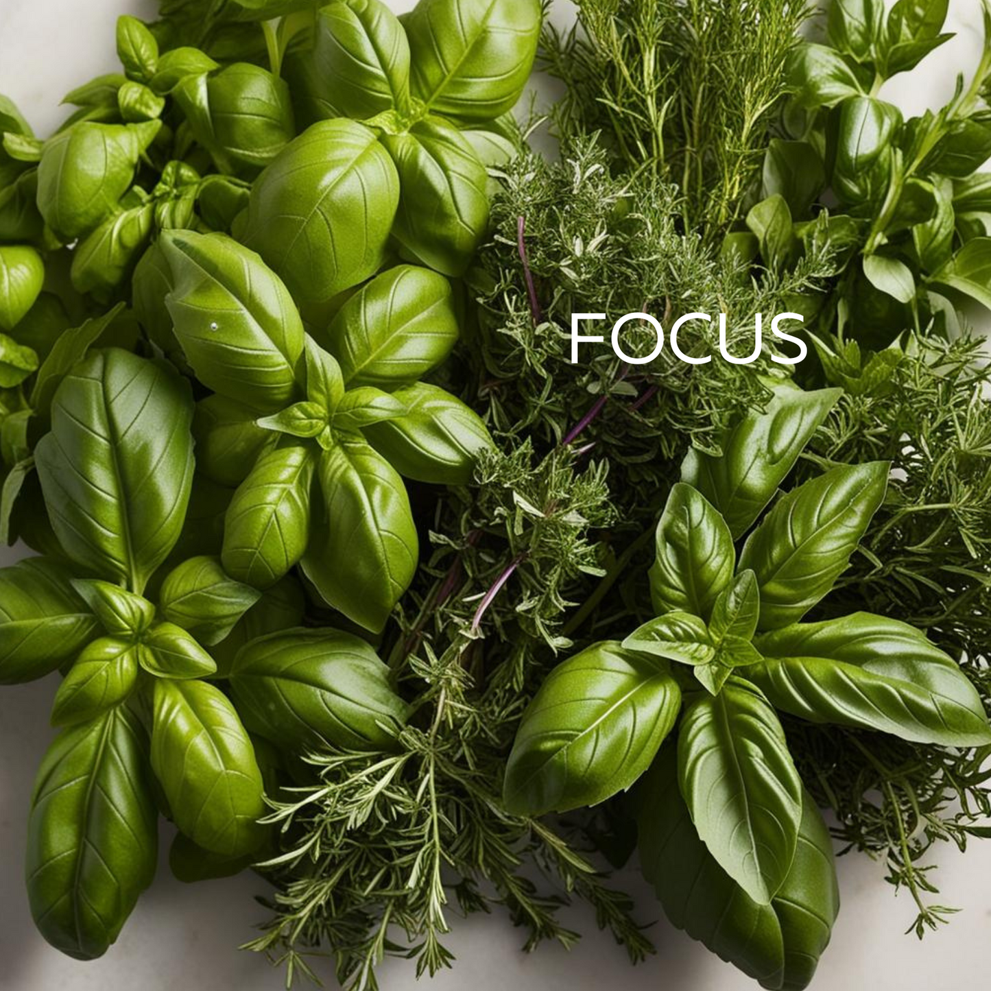 Focus Wellbeing Wax Melts 240g