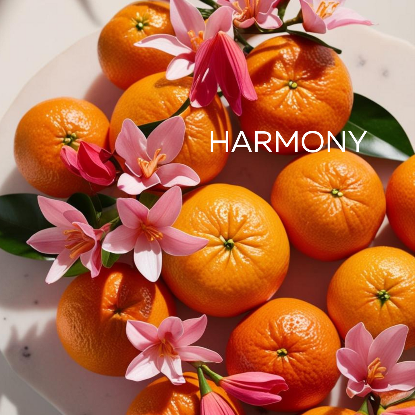 Harmony Wellbeing Wax Melts 240g