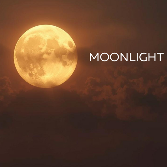 Moonlight Wax Melts 120g