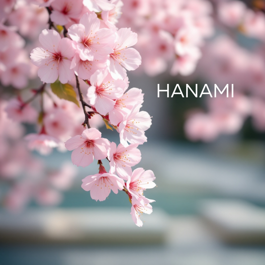 Hanami Wax Melts 240g